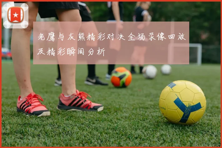 老鹰与灰熊精彩对决全场录像回放及精彩瞬间分析