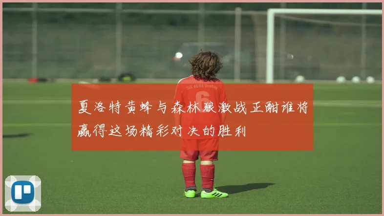 夏洛特黄蜂与森林狼激战正酣谁将赢得这场精彩对决的胜利