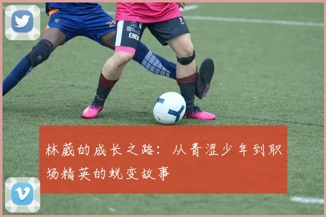 林葳的成长之路：从青涩少年到职场精英的蜕变故事